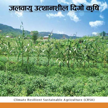 Climate Resilient Sustainable Agriculture