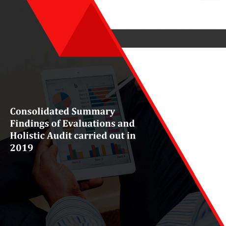 Consolidated Summary Findings of Evaluations and Holistic Audit carried out in 2019