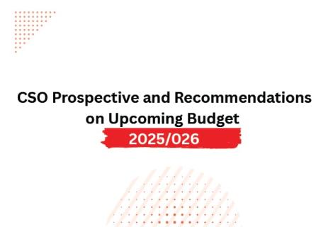 CSO Propsective and Recommendation
