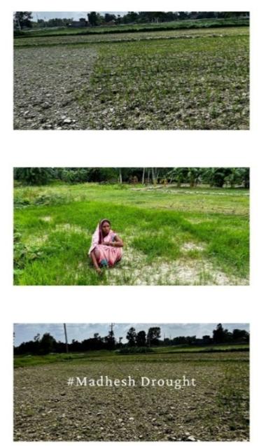 Madhesh Drought- Dry Land Uncertain Future